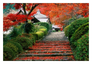 Consultoria  em hortos e praças, bosques e outros